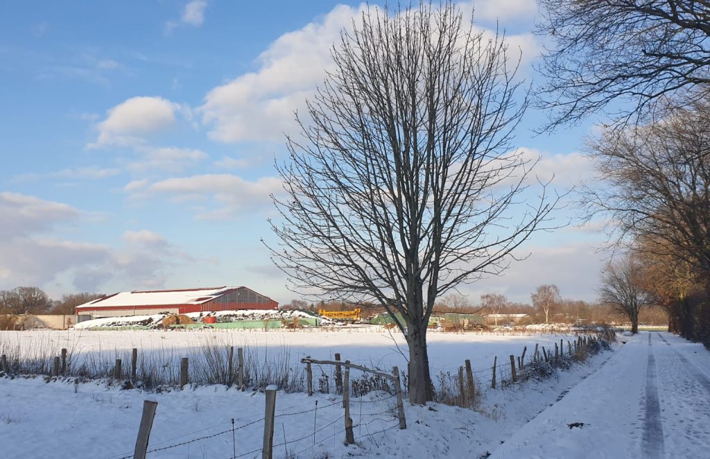 #Ashausen #Bühring #Buehring #Hofbühring #hofbuehring #Bauer Bühring #BauerBuehring #Hofladen #Hofladenbühring #bühringshofladen #Bührings Hofladen #Hofladenashausen #Hofladen Ashausen #Bühring Ashausen #buehringashausen #Regional #Kuhstall #Kuhstallashausen #Kuhstallbuehring #Kuhstall Bühring #Lely #Lelymelkstand