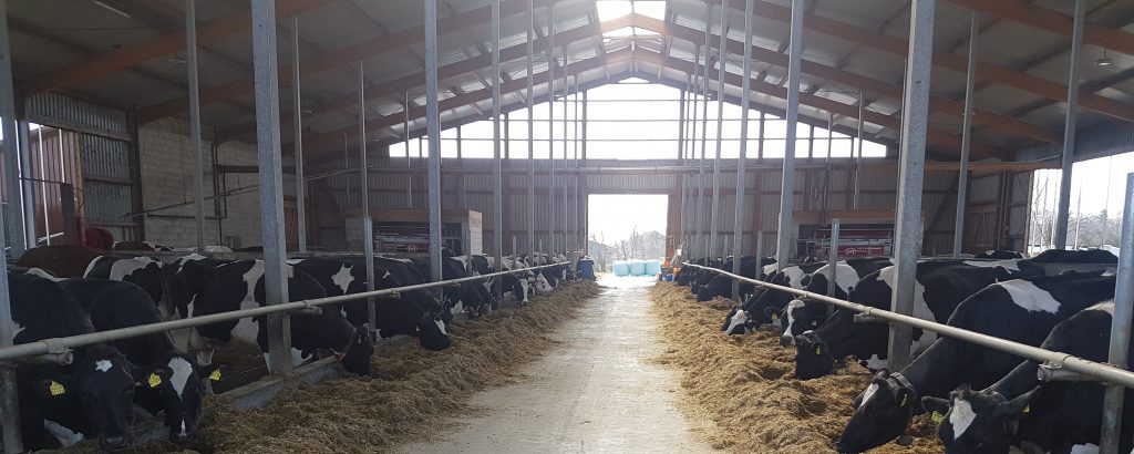 #Ashausen #Bühring #Buehring #Hofbühring #hofbuehring #Bauer Bühring #BauerBuehring #Hofladen #Hofladenbühring #bühringshofladen #Bührings Hofladen #Hofladenashausen #Hofladen Ashausen #Bühring Ashausen #buehringashausen #Regional #Kuhstall #Kuhstallashausen #Kuhstallbuehring #Kuhstall Bühring #Lely #Lelymelkstand